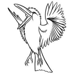 The Kookaburra Laughed (Download) 