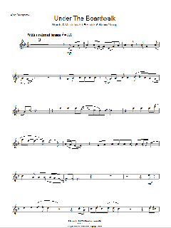 Under The Boardwalk von The Drifters (Download) 