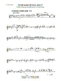 What Kind Of Fool Am I von Frank Sinatra (Download) 