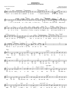 Wonderful von Stephen Schwartz (Download) 