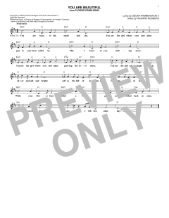 You Are Beautiful von Richard Rodgers (Download) 