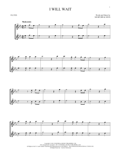 I Will Wait von Mumford & Sons (Download) 