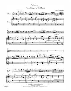 Allegro von Paul Koepke (Download) 