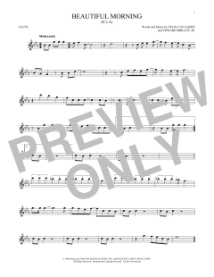 (It's A) Beautiful Morning von The Rascals (Download) 