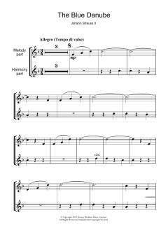 (On The Beautiful) The Blue Danube von Johann Strauss (Sohn) (Download) 