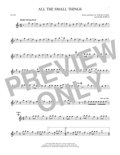 All The Small Things von Blink 182 (Download) 