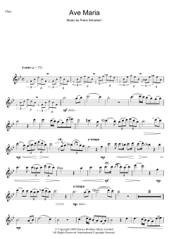 Ave Maria von Franz Schubert (Download) 