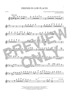 Friends In Low Places von Garth Brooks (Download) 