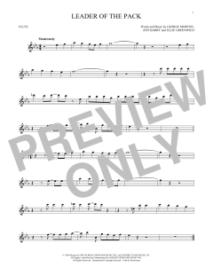 Leader Of The Pack von The Shangri-Las (Download) 