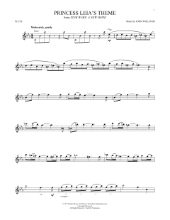 Princess Leia's Theme (Download) 