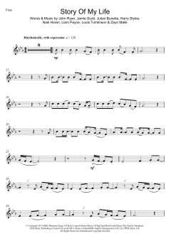 Story Of My Life von One Direction (Download) 