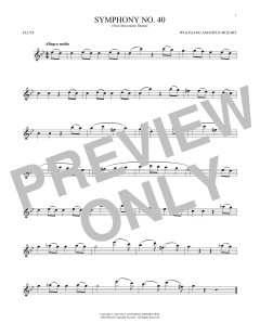 Symphony No. 40 In G Minor, First Movement Excerpt (Download) 
