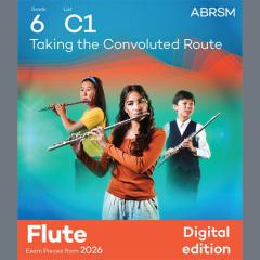 Taking the Convoluted Route von Mark Nightingale (Download) 