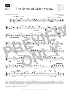 The Banks of Green Willow von George Butterworth (Download) 