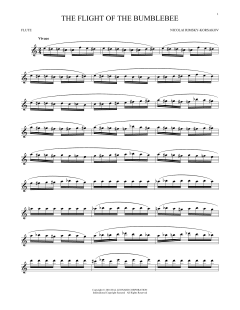 The Flight Of The Bumble Bee (Download) 