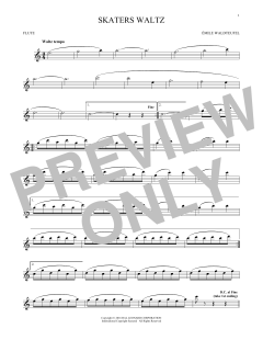 The Skaters (Download) 