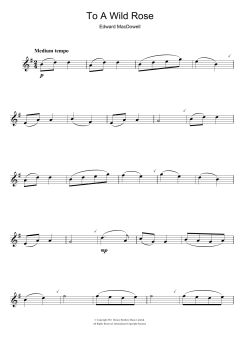 To A Wild Rose von Edward MacDowell (Download) 