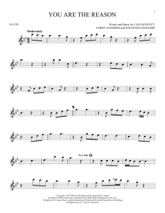 You Are The Reason von Calum Scott (Download) 