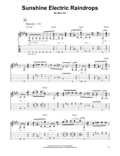 Sunshine Electric Raindrops von Steve Vai (Download) 