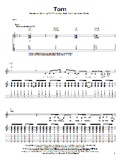 Torn von Natalie Imbruglia (Download) 