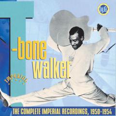 You Don't Love Me von T-Bone Walker (Download) 