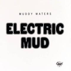 I'm Your Hoochie Coochie Man von Muddy Waters (Download) 