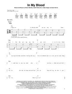 In My Blood von Shawn Mendes (Download) 