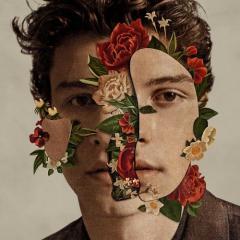 In My Blood von Shawn Mendes (Download) 