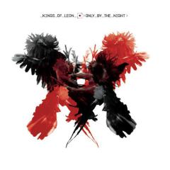 Use Somebody von Kings Of Leon (Download) 