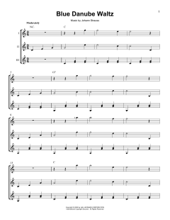 Blue Danube Waltz von Johann Strauss (Sohn) (Download) 