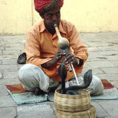 Snake Charmer von Traditional Indian (Download) 