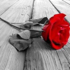 My One And Only Love von Robert Mellin (Download) 