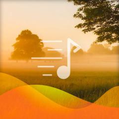 Packington's Pound von Traditional (Download) 