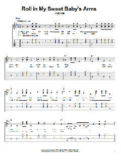 Roll In My Sweet Baby's Arms von Traditional (Download) 