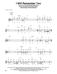 I Will Remember You von Sarah McLachlan (Download) 