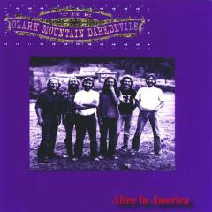 If You Wanna Get To Heaven von Ozark Mountain Daredevils (Download) 
