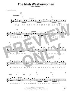 The Irish Washerwoman (Download) 