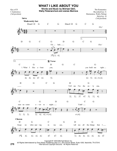 What I Like About You von The Romantics (Download) 