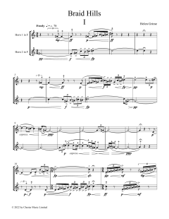 Braid Hills (Download) 