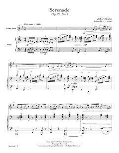 Serenade Op. 22, No. 1 von Oskar Böhme (Download) 