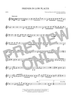 Friends In Low Places von Garth Brooks (Download) 