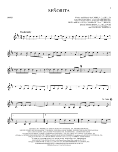 Señorita von Ben Levin (Download) 