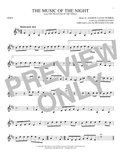 The Music Of The Night von David Cook (Download) 