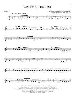 Wish You The Best von Lewis Capaldi (Download) 