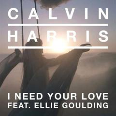 I Need Your Love von Ellie Goulding (Download) 