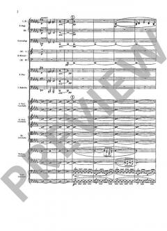 Eine Alpensinfonie op. 64 TrV 233 von Richard Strauss 