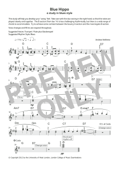 Blue Hippo (Download) 