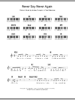 Never Say Never Again von Steps (Download) 