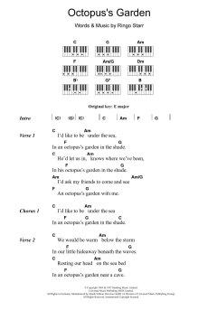Octopus's Garden von The Beatles (Download) 