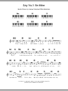 Say You'll Be Mine von Steps (Download) 